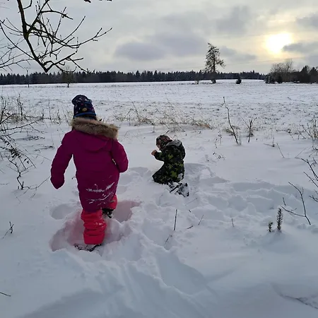 U Deviti Draku * Frymburk